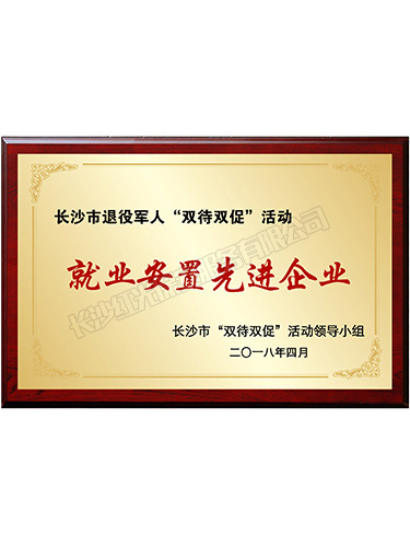 長(zhǎng)沙市退役軍人“雙待雙促”活動(dòng)就業(yè)安置先進(jìn)企業(yè)